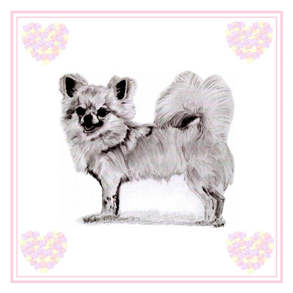 L/C Chihuahua Greeting Card Choice of 6 Designs BIRTHDAY, THINKING OF YOU, BLANK