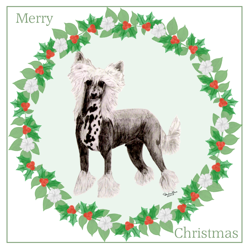 Chinese Crested Christmas Card Choice of 3 Card Designs Single or Multi Pack