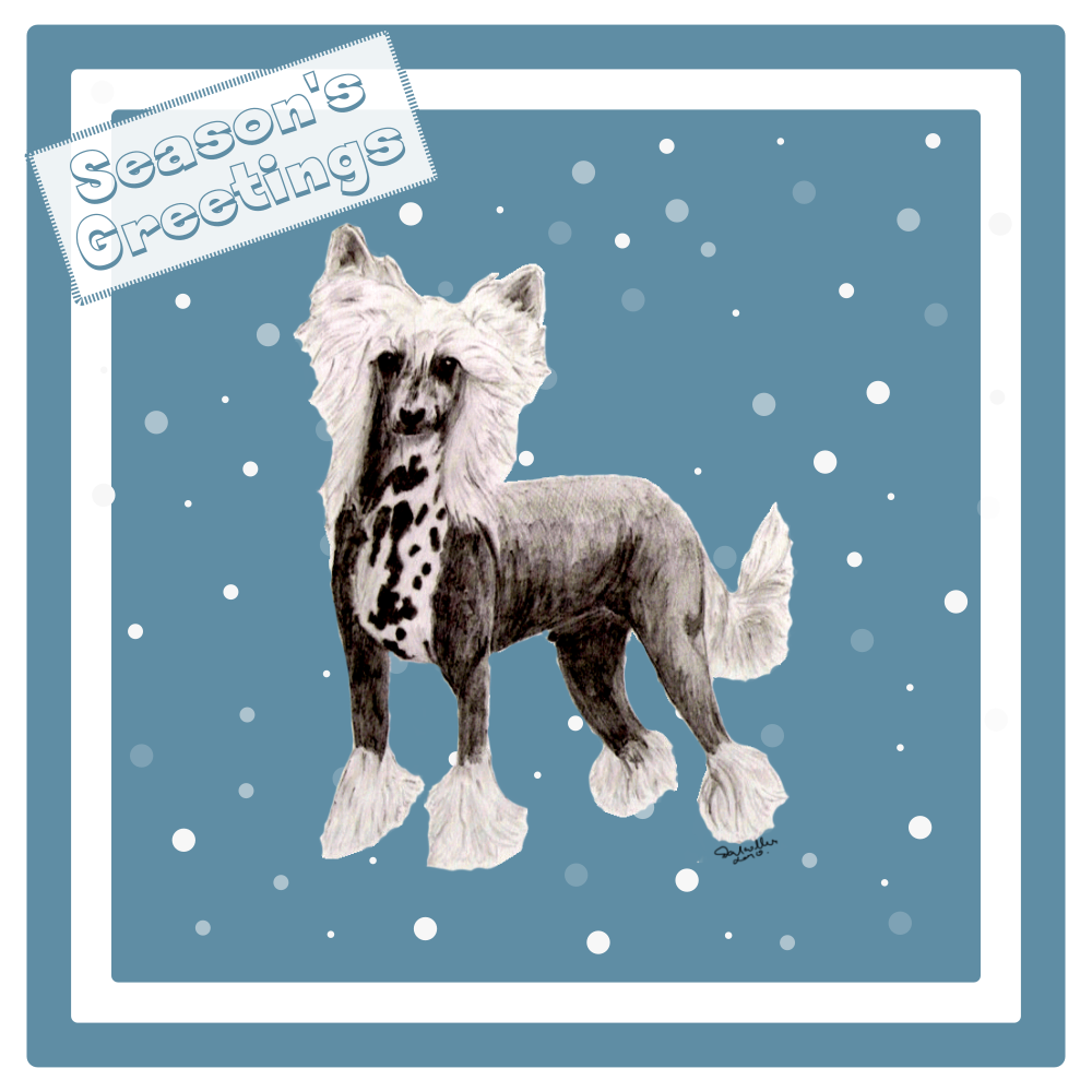 Chinese Crested Christmas Card Choice of 3 Card Designs Single or Multi Pack