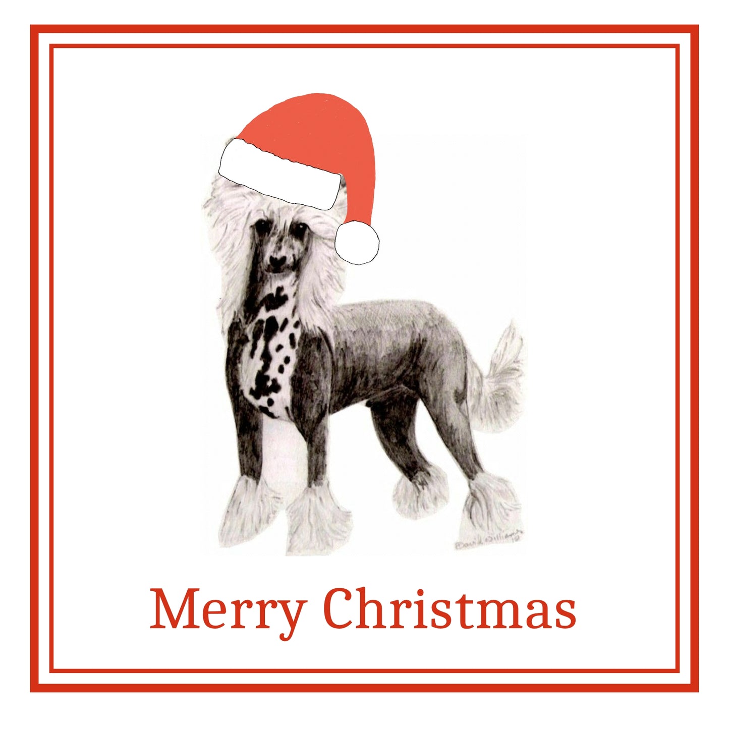 Chinese Crested Christmas Card Choice of 3