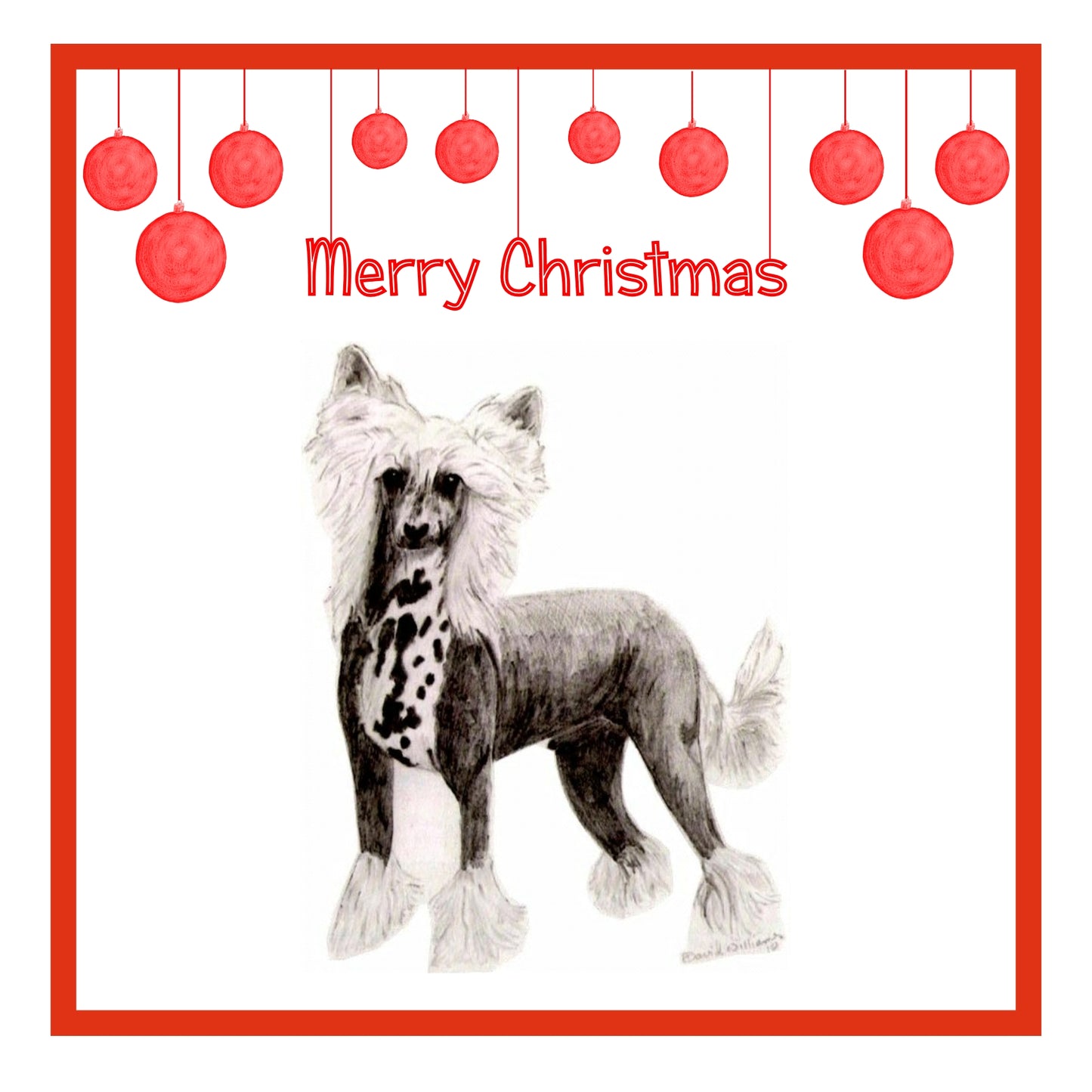 Chinese Crested Christmas Cards Pack of 6