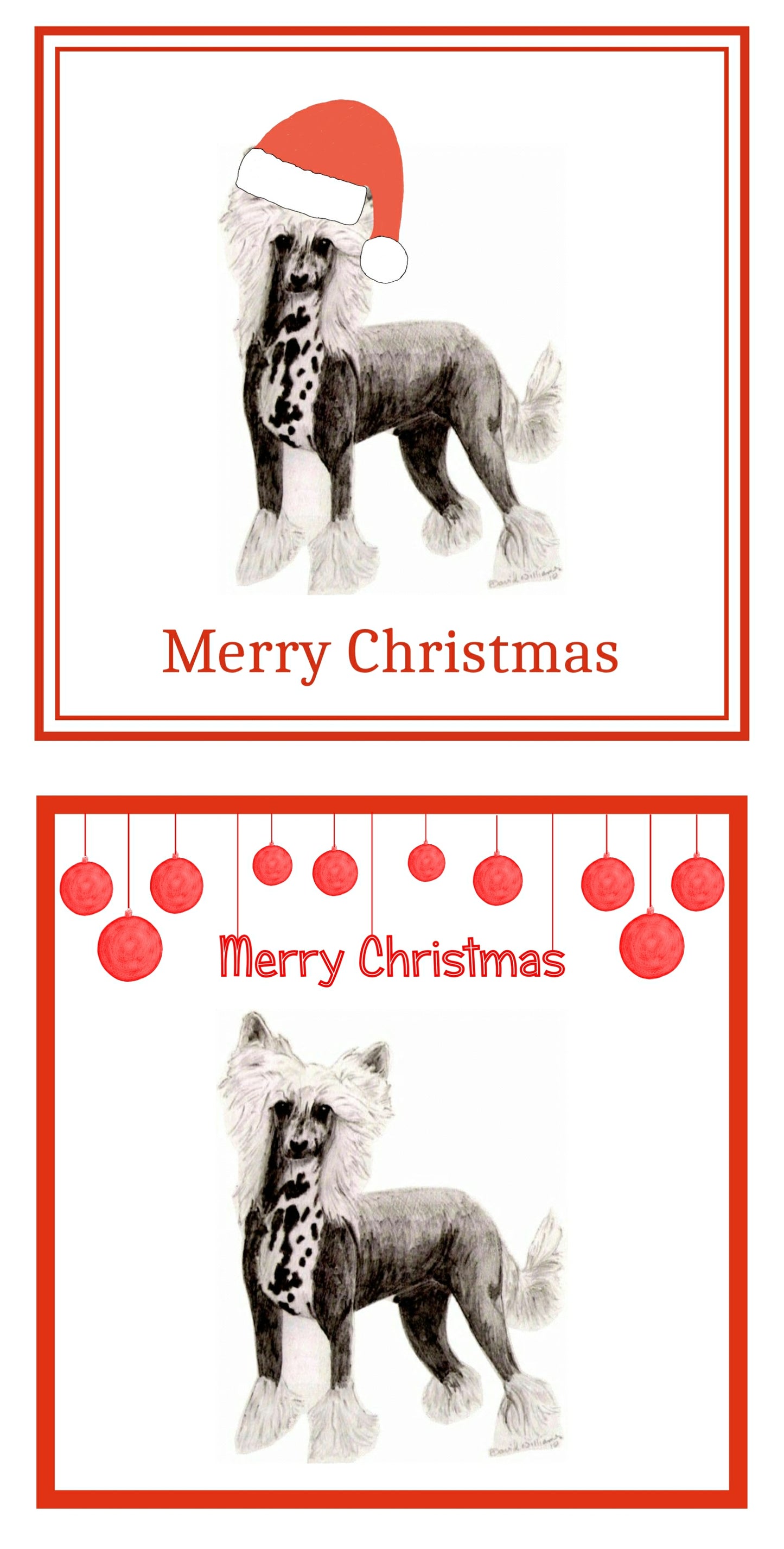 Chinese Crested Christmas Cards Pack of 6