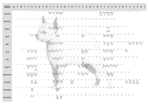 S/C Chihuahua Dog Show 2022 Year Planner A4