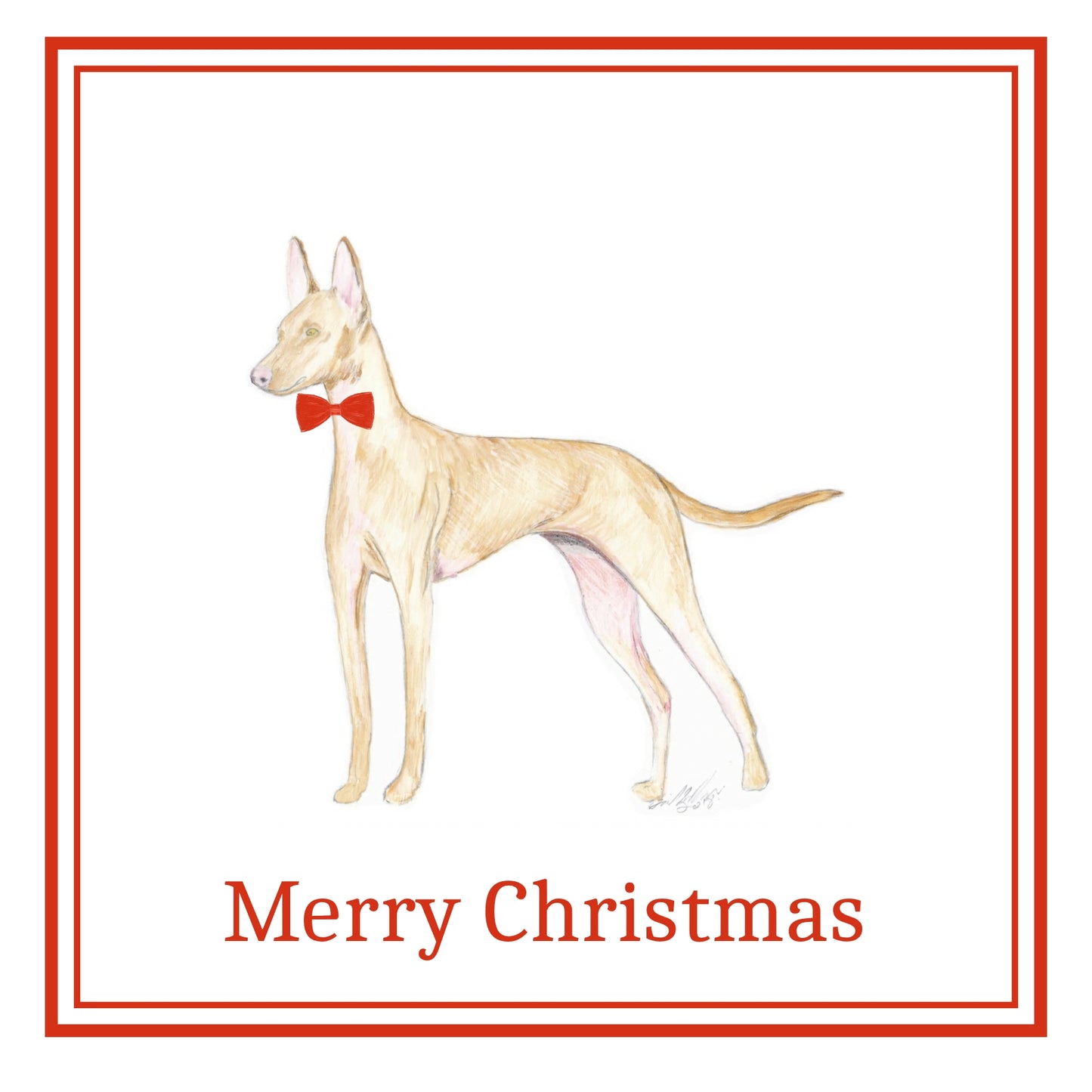 Cirneco dell'Etna Christmas Cards Pack of 6
