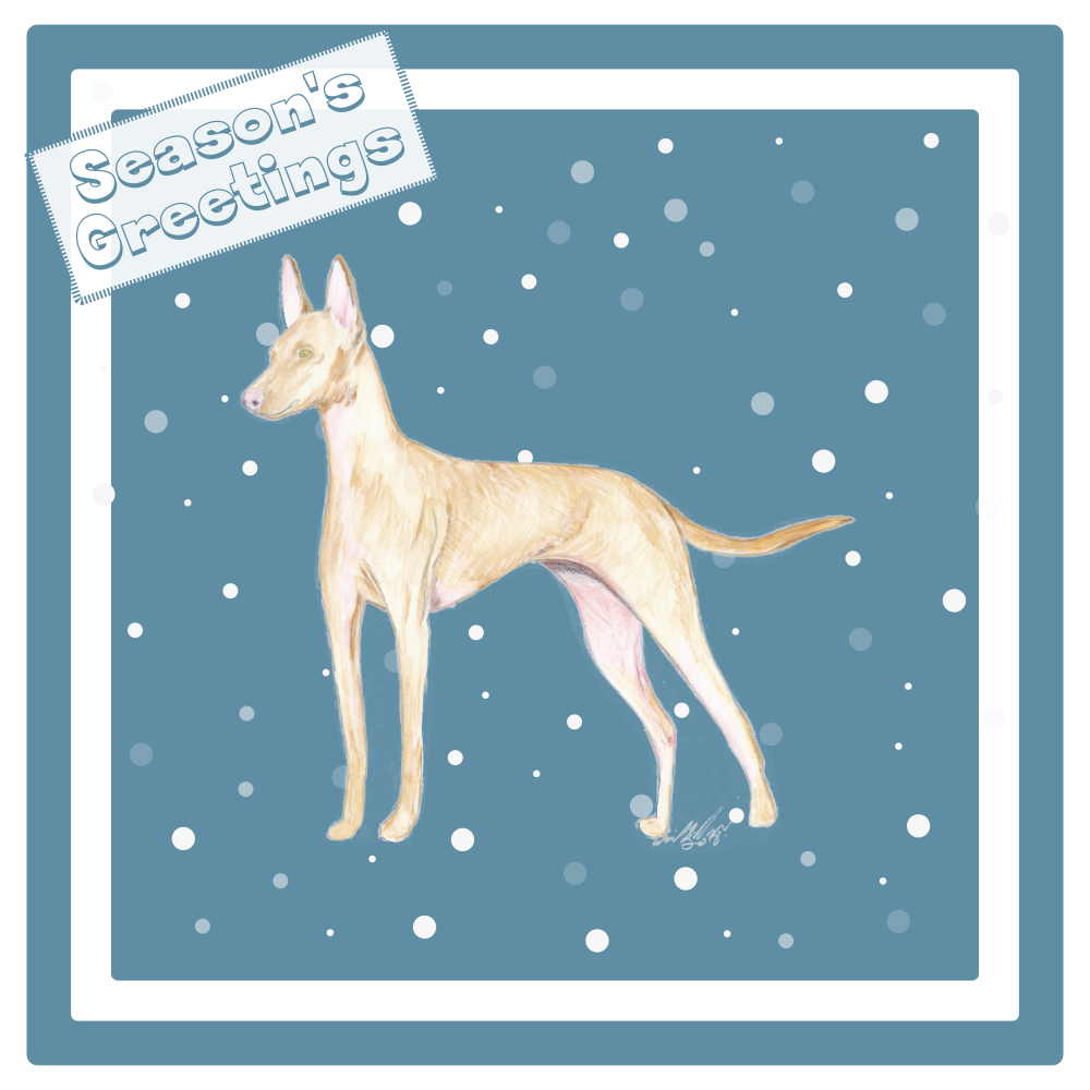 Cirnecco dell'Etna Christmas Card Choice of 3 Card Designs Single or Multi Pack