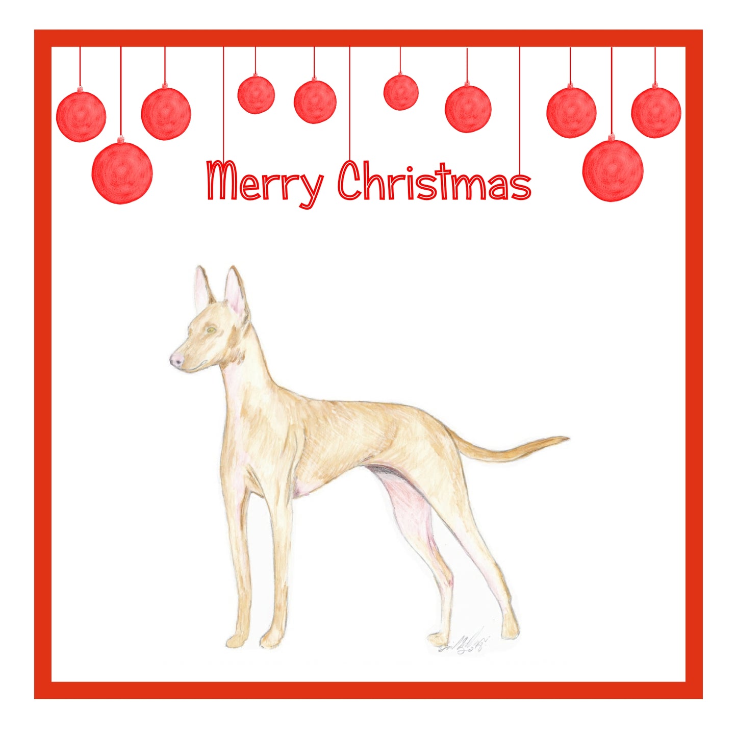 Cirneco dell'Etna Christmas Cards Pack of 6