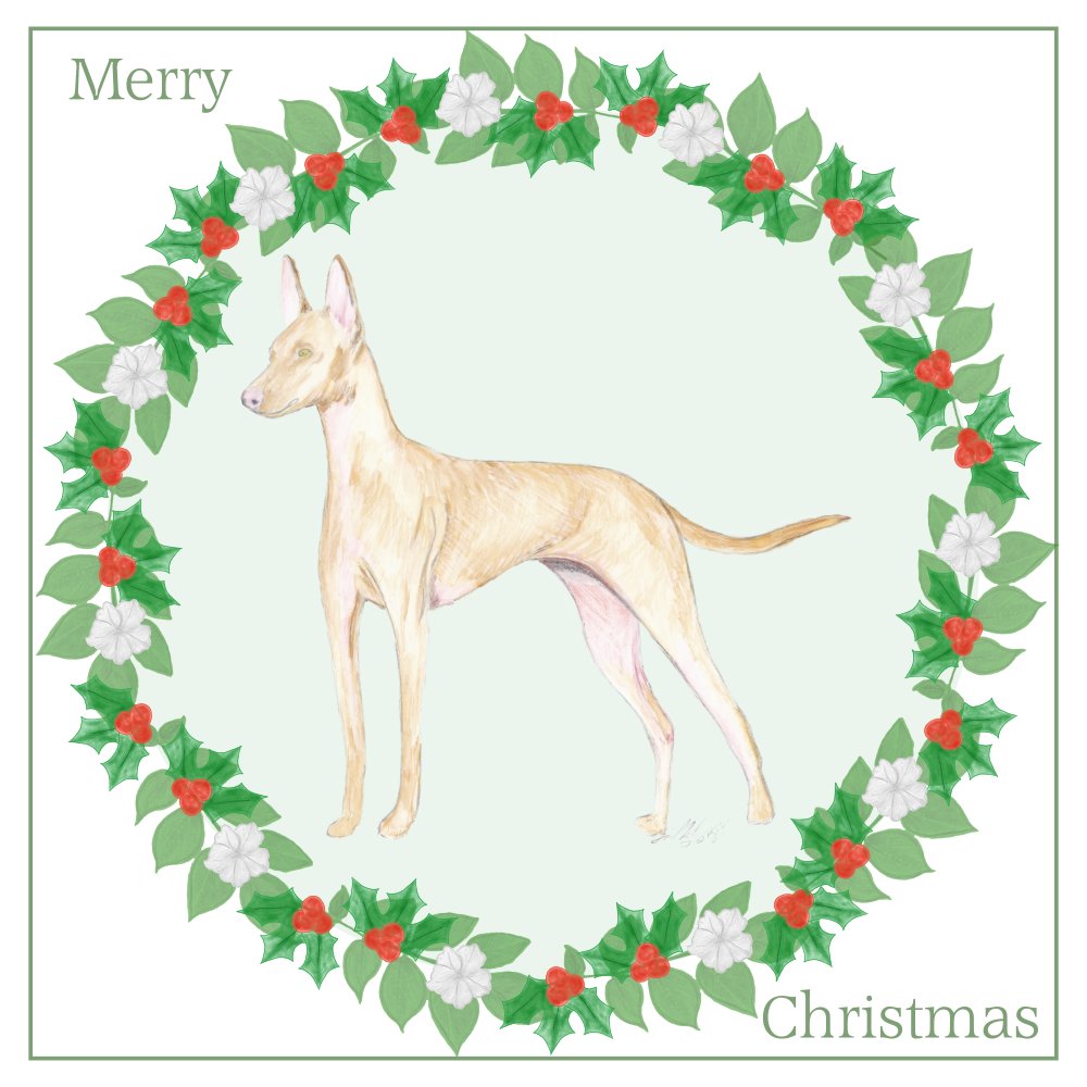 Cirnecco dell'Etna Christmas Card Choice of 3 Card Designs Single or Multi Pack
