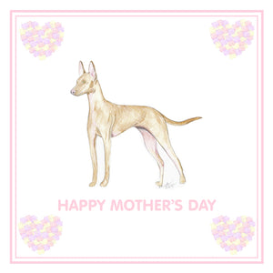 Cirneco dell'Etna Mother's Day Card PERSONALISATION AVAILABLE