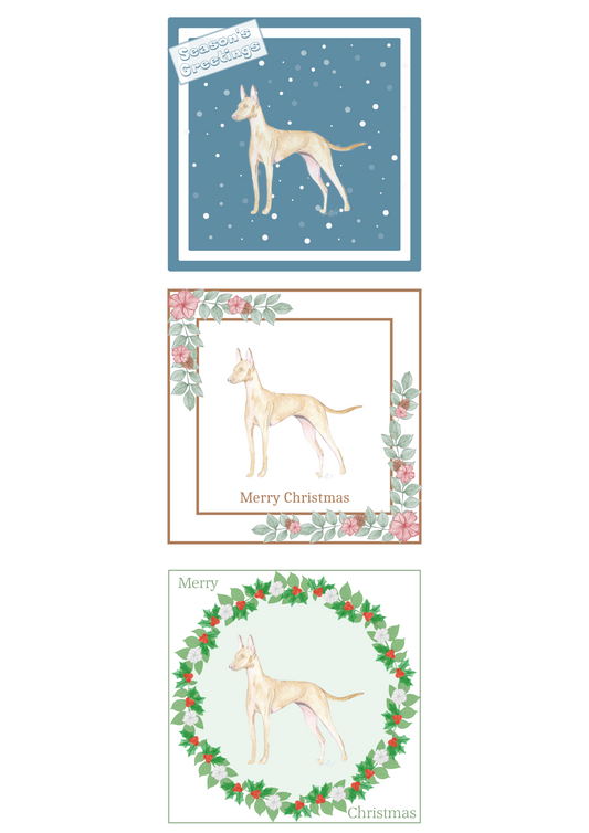 Cirnecco dell'Etna Christmas Card Choice of 3 Card Designs Single or Multi Pack