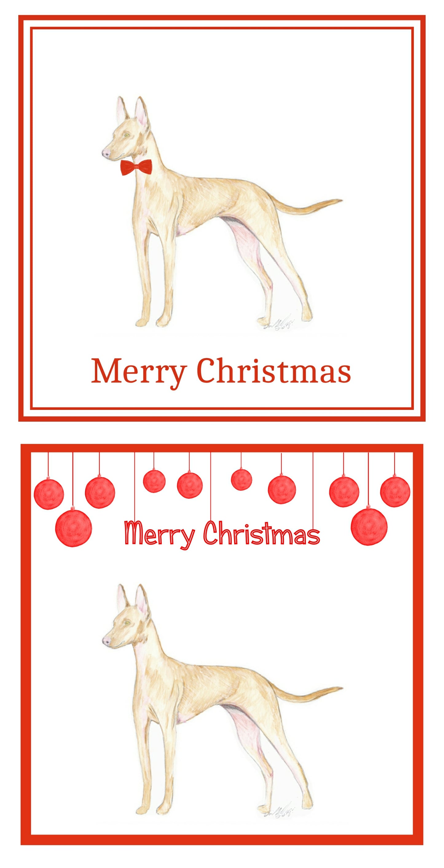 Cirneco dell'Etna Christmas Cards Pack of 6