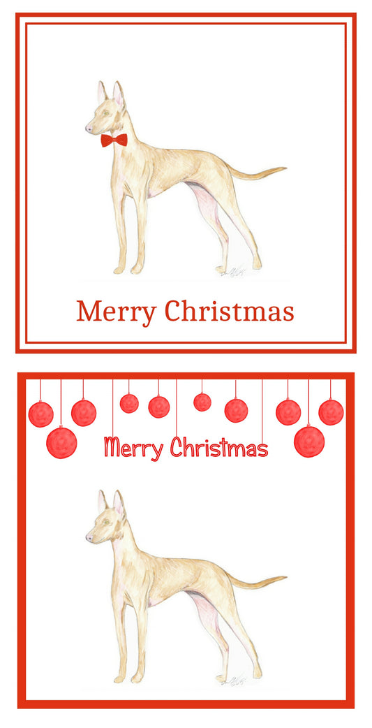 Cirneco dell'Etna Christmas Cards Pack of 6