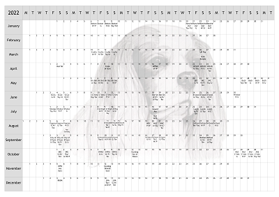 Cavalier King Charles Spaniel CKCS Dog Show 2022 Year Planner A4