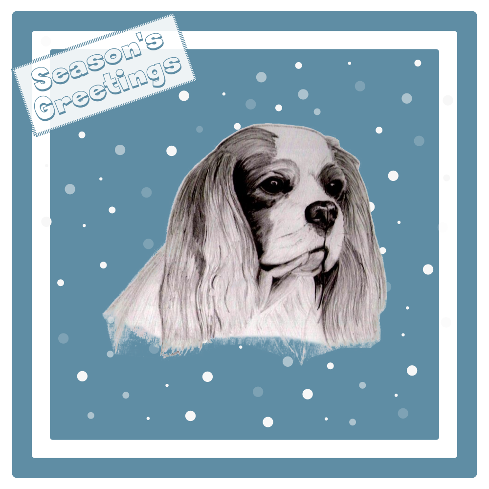 Cavalier King Charles Spaniel CKCS Christmas Card Choice of 3 Card Designs Single or Multi Pack
