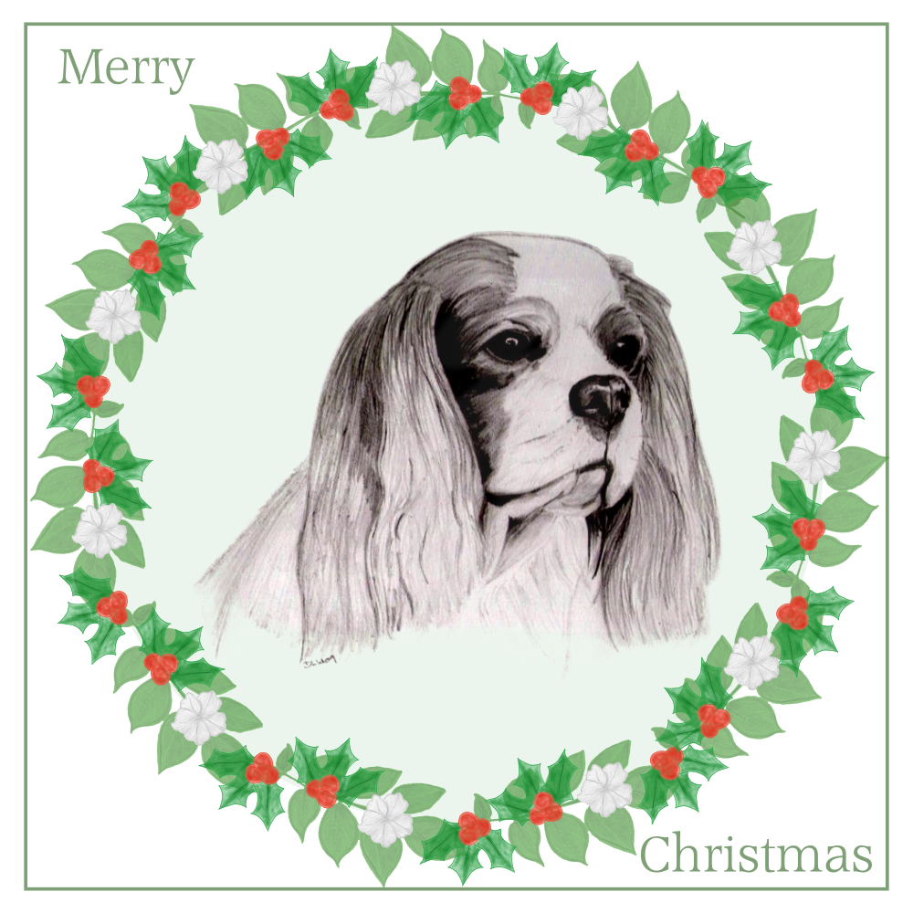 Cavalier King Charles Spaniel CKCS Christmas Card Choice of 3 Card Designs Single or Multi Pack