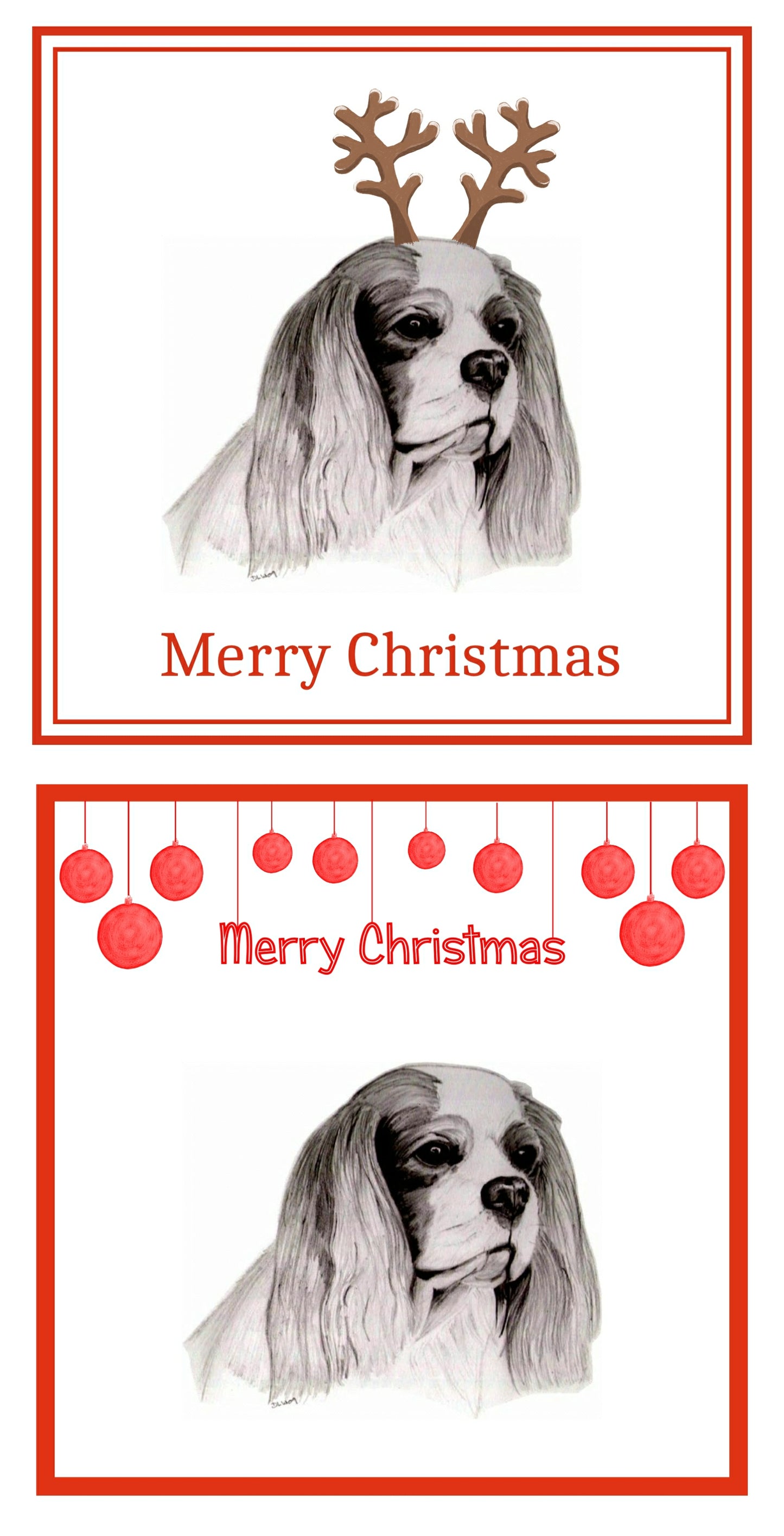 Cavalier King Charles Spaniel Christmas Cards Pack of 6