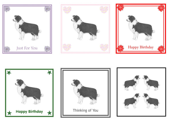 Border Collie Greeting Card Choice of 6 Designs BIRTHDAY, THINKING OF YOU, BLANK