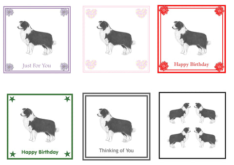 Border Collie Greeting Card Choice of 6 Designs BIRTHDAY, THINKING OF YOU, BLANK