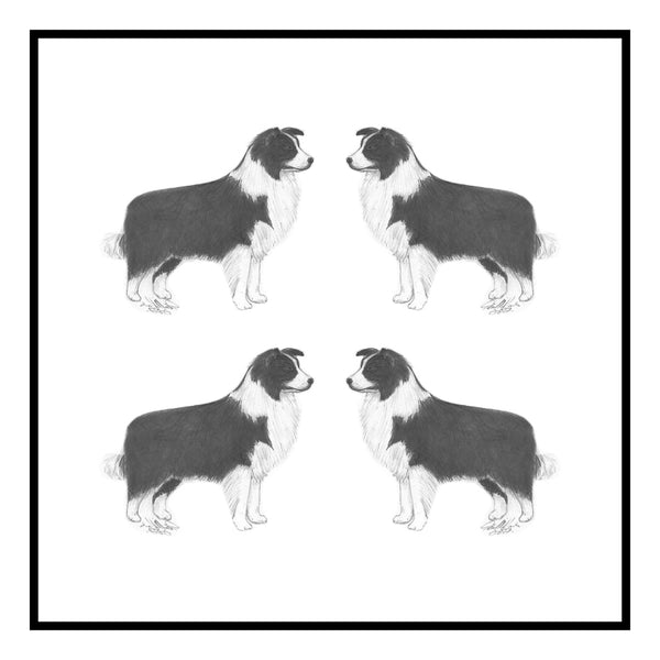 Border Collie Greeting Card Choice of 6 Designs BIRTHDAY, THINKING OF YOU, BLANK