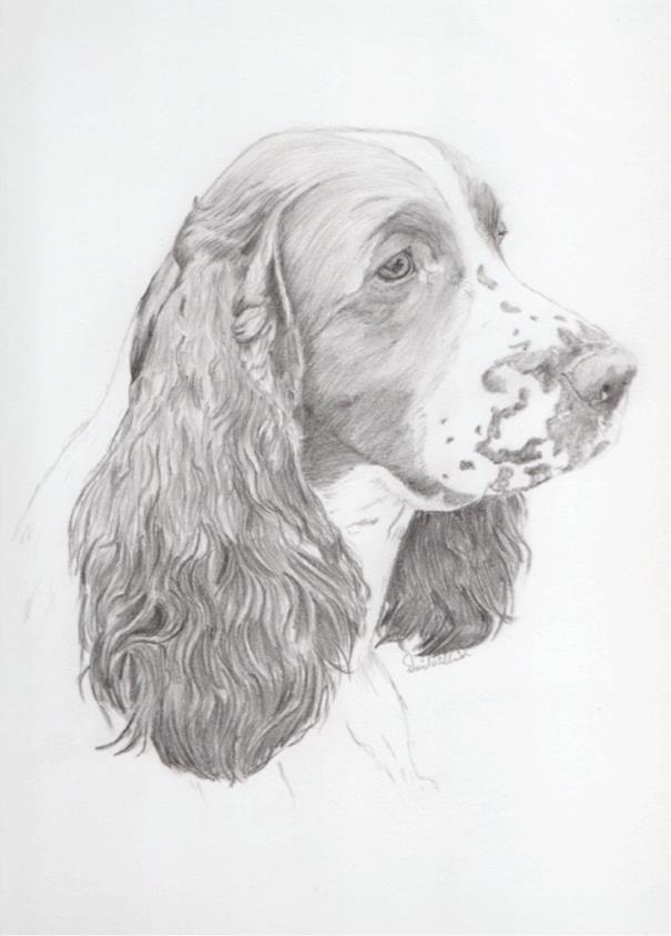 Deposit to Secure a Commission 16 x 12" drawing in a 20 x 16" Mount