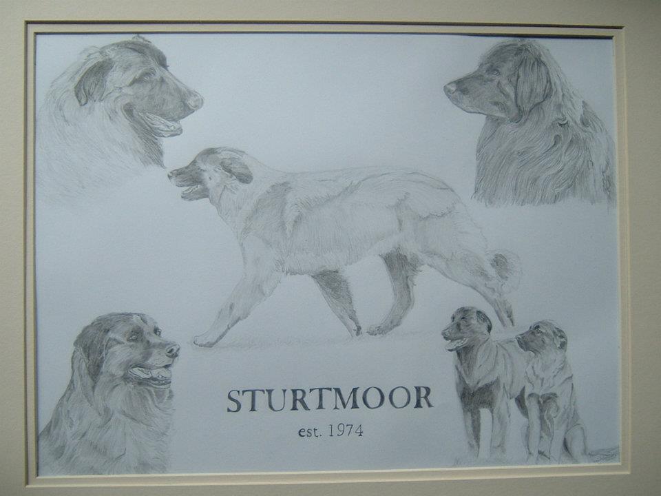 Deposit to Secure a Commission 16 x 12" drawing in a 20 x 16" Mount