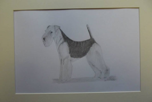 Deposit to Secure a Commission 16 x 12" drawing in a 20 x 16" Mount
