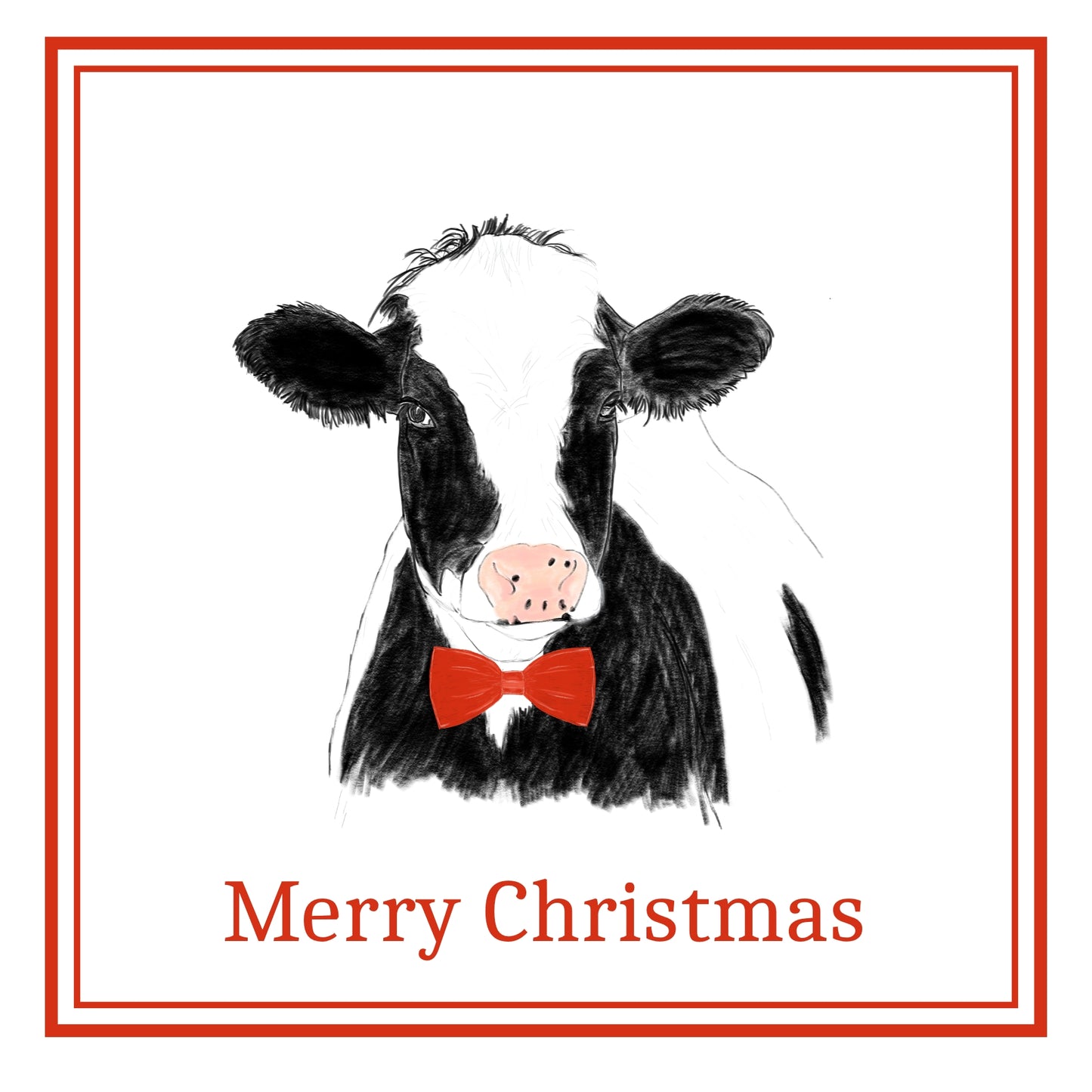 Cow Christmas Cards Pack of 6