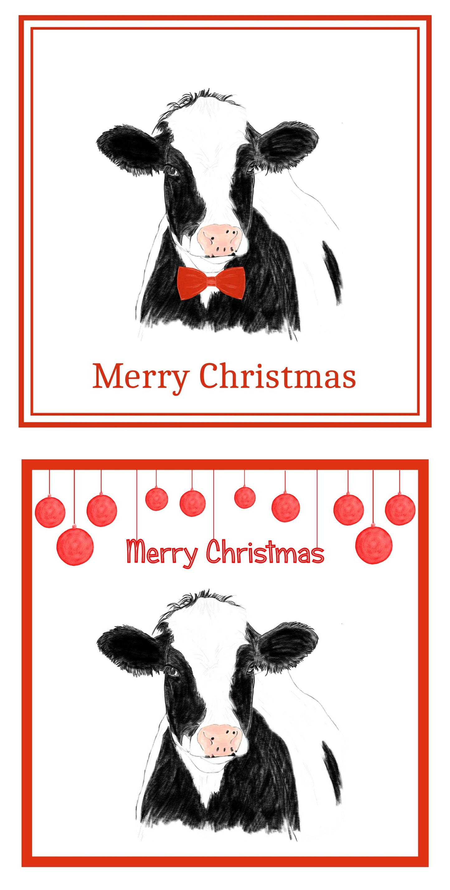 Cow Christmas Cards Pack of 6