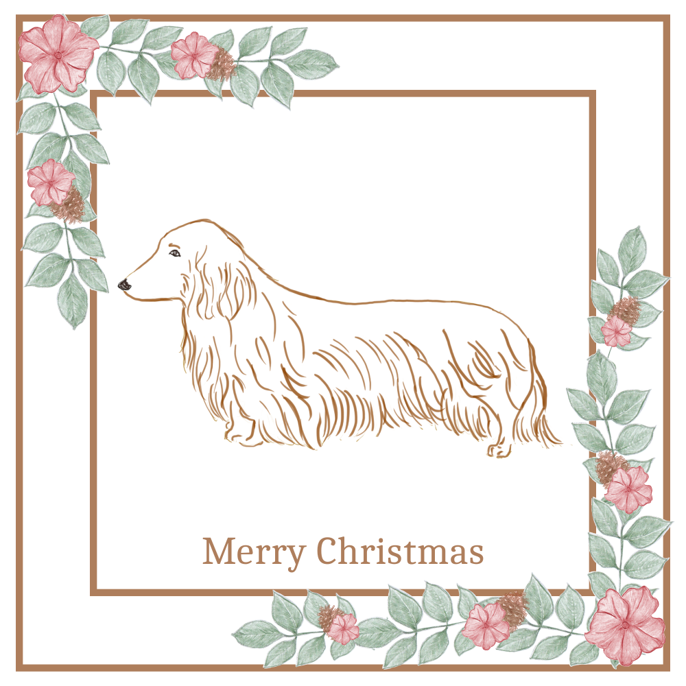 L/H Dachshund Christmas Card Choice of 3 Card Designs Single or Multi Pack