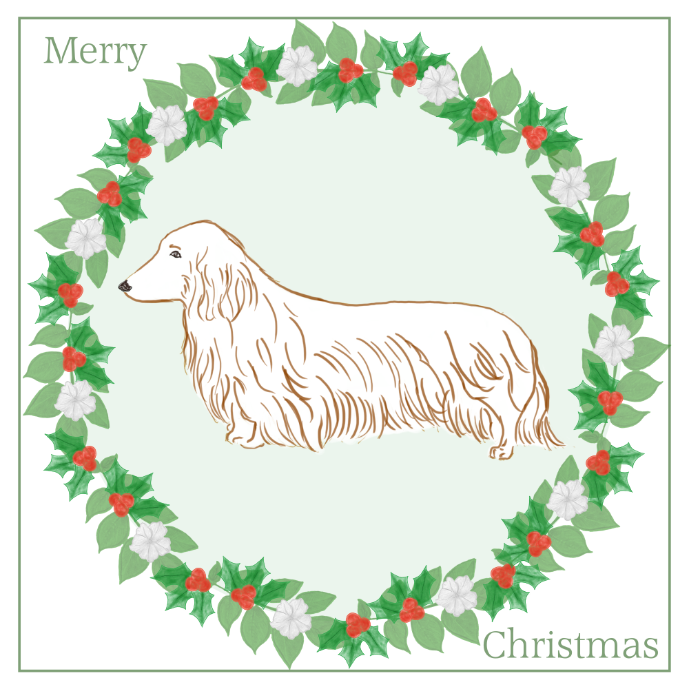 L/H Dachshund Christmas Card Choice of 3 Card Designs Single or Multi Pack