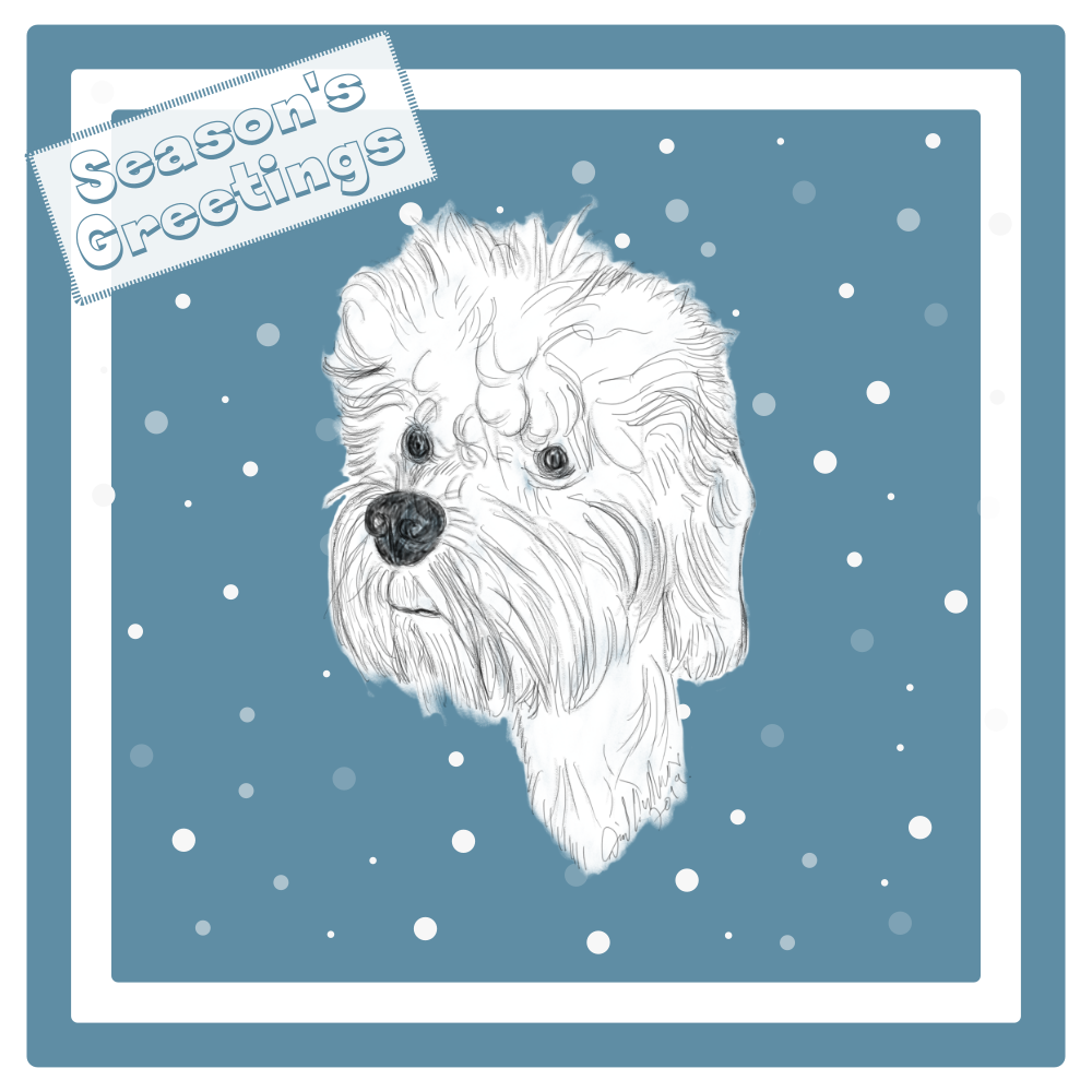 Dandie Dinmont Terrier Christmas Card Choice of 3 Card Designs Single or Multi Pack