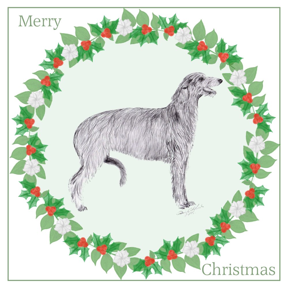 Deerhound Christmas Card Choice of 3 Card Designs Single or Multi Pack