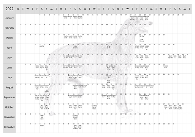 Deerhound Dog Show 2022 Year Planner A4