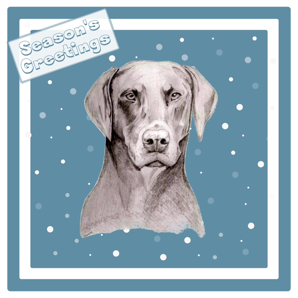 Doberman Christmas Card Choice of 3 Card Designs Single or Multi Pack