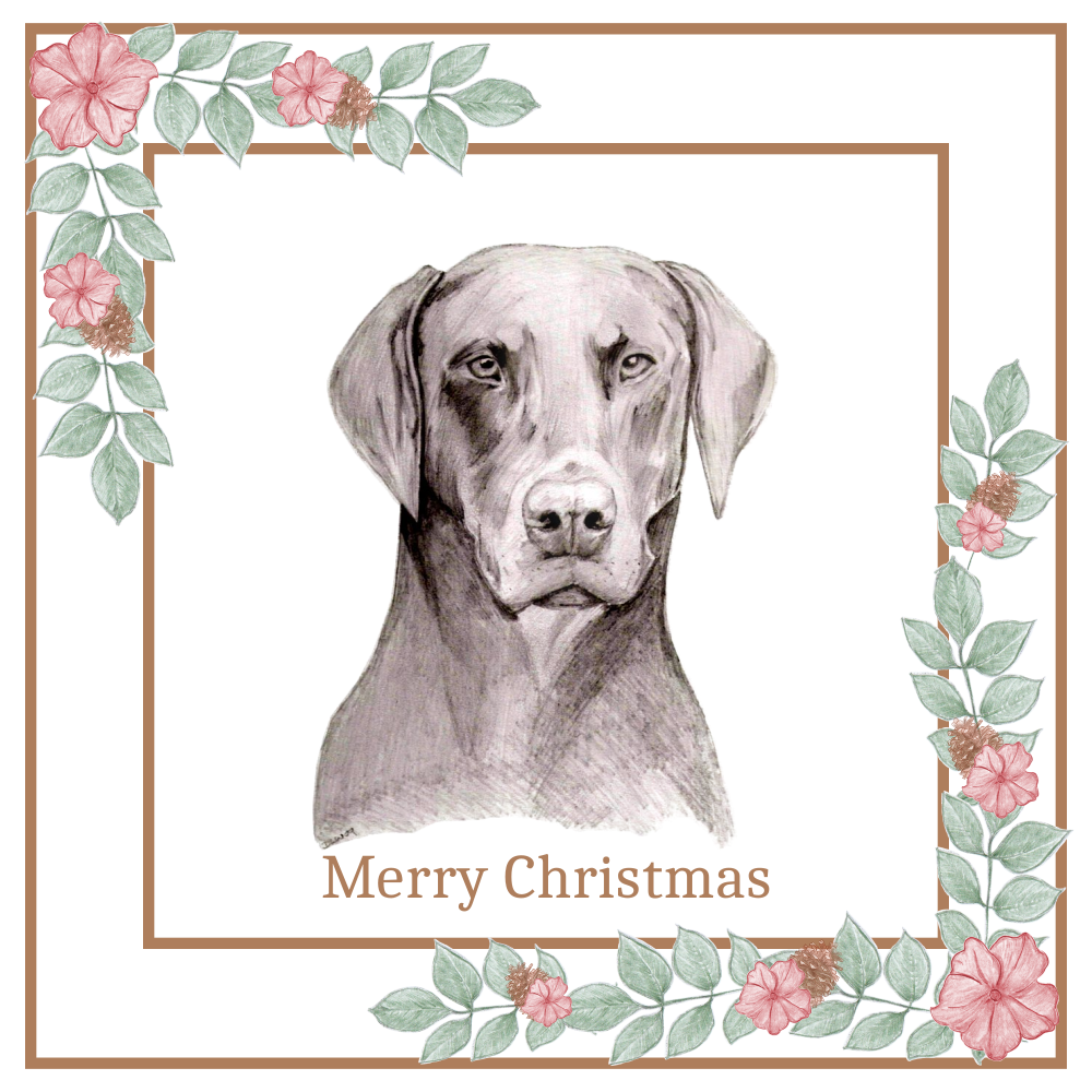Doberman Christmas Card Choice of 3 Card Designs Single or Multi Pack