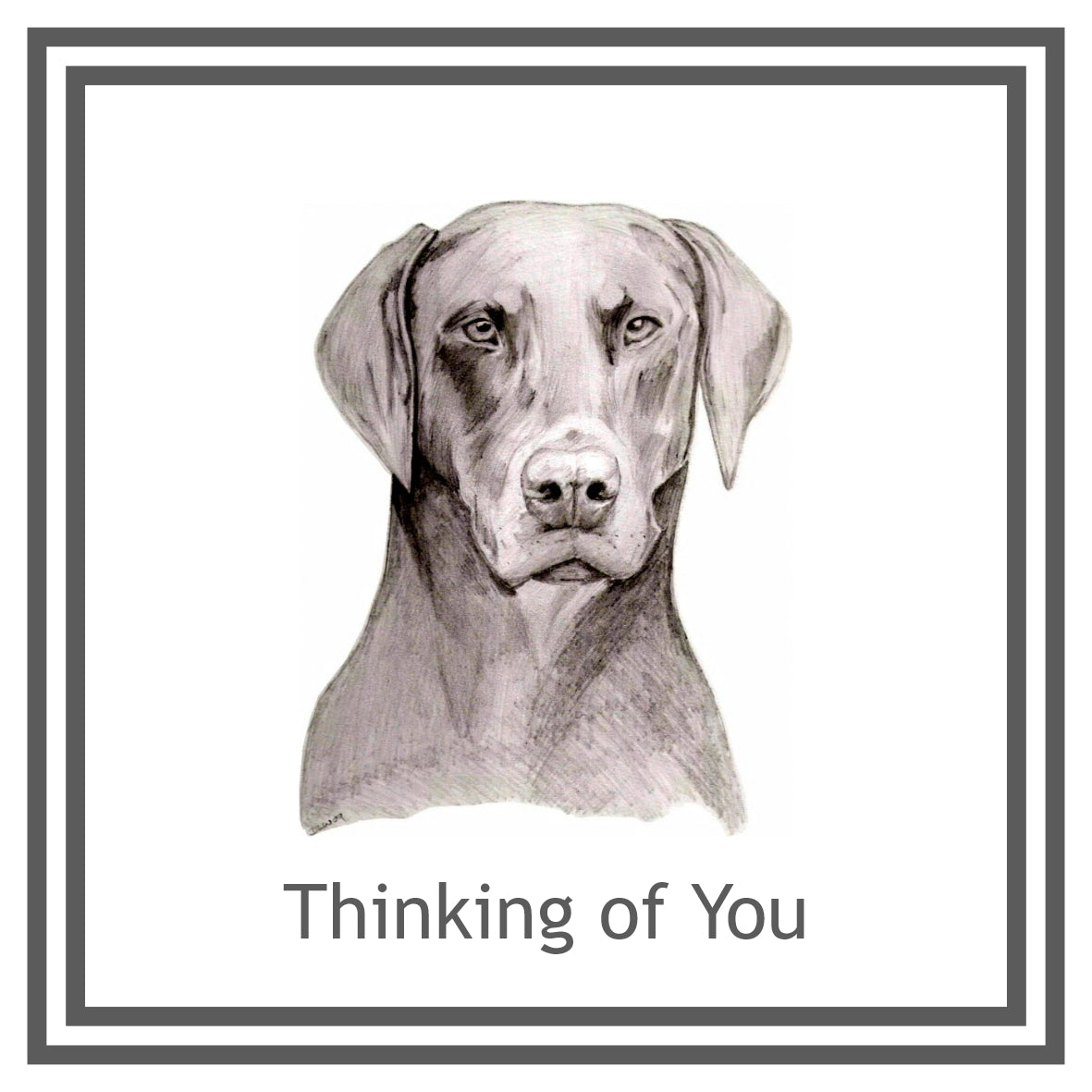 Dobermann Greeting Card Choice of 6 Designs BIRTHDAY, THINKING OF YOU, BLANK