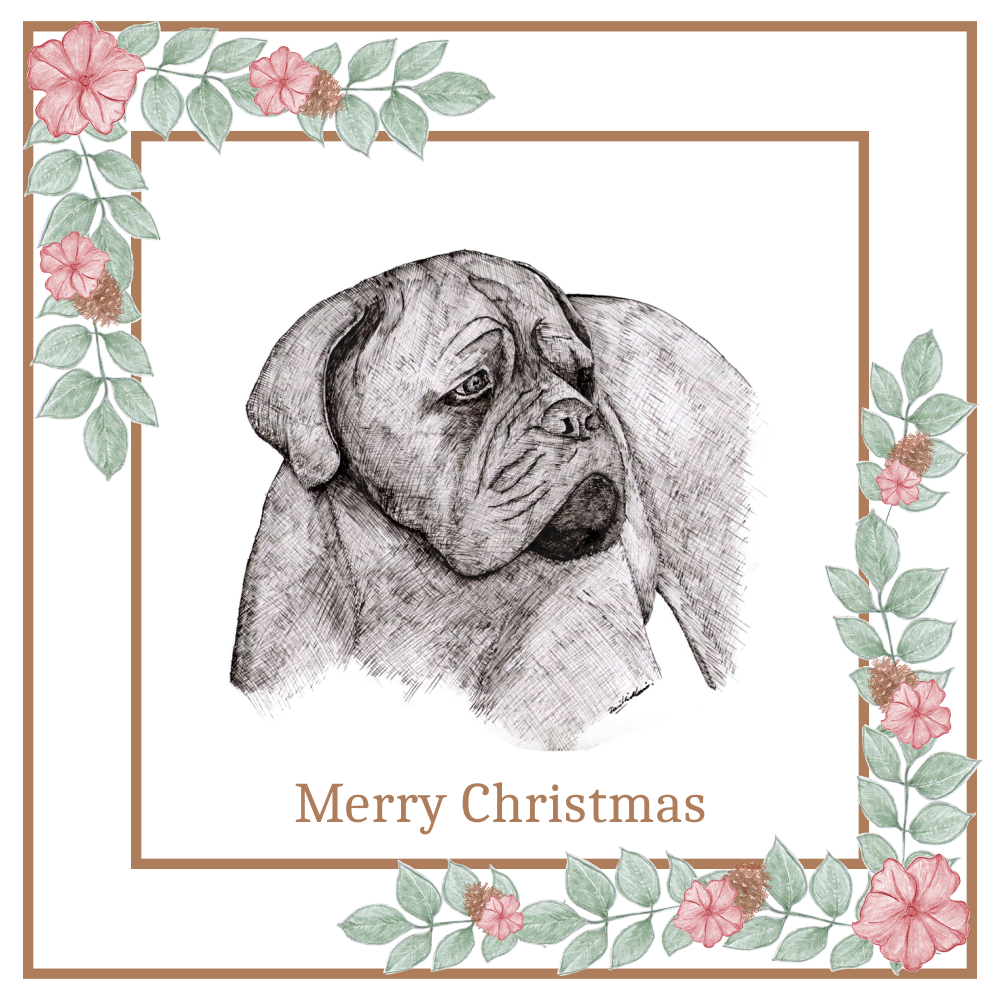 Dogue de Bordeaux Christmas Card Choice of 3 Card Designs Single or Multi Pack