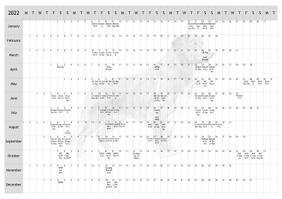 NSDTR Dog Show 2022 Year Planner A4