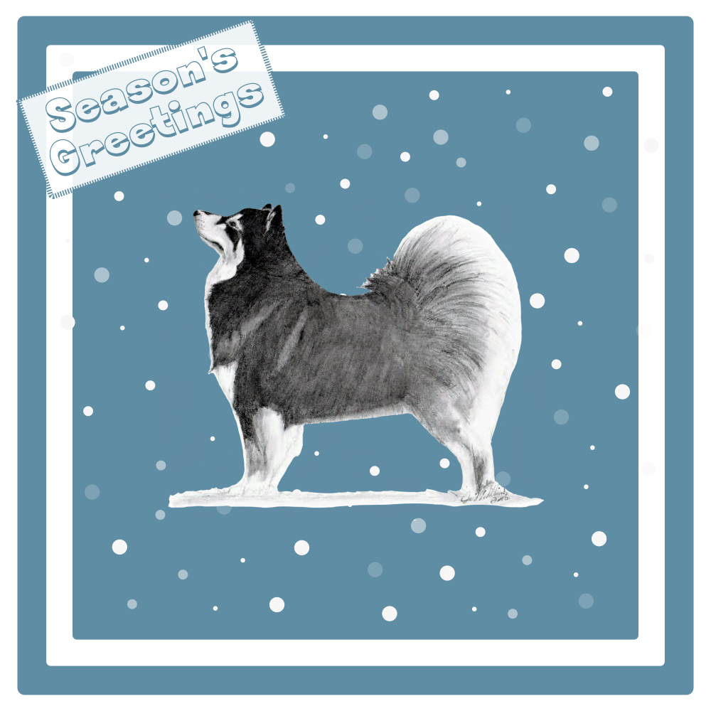 Finnish Lapphund Christmas Card Choice of 3 Card Designs Single or Multi Pack