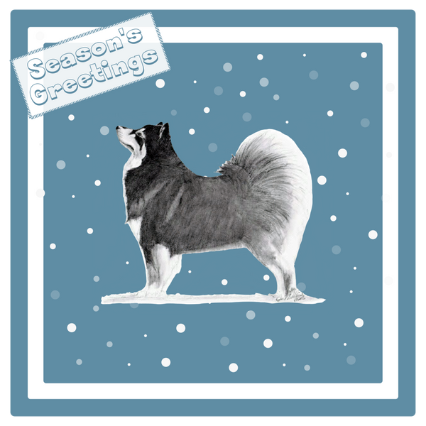 Finnish Lapphund Christmas Card Choice of 3 Card Designs Single or Multi Pack