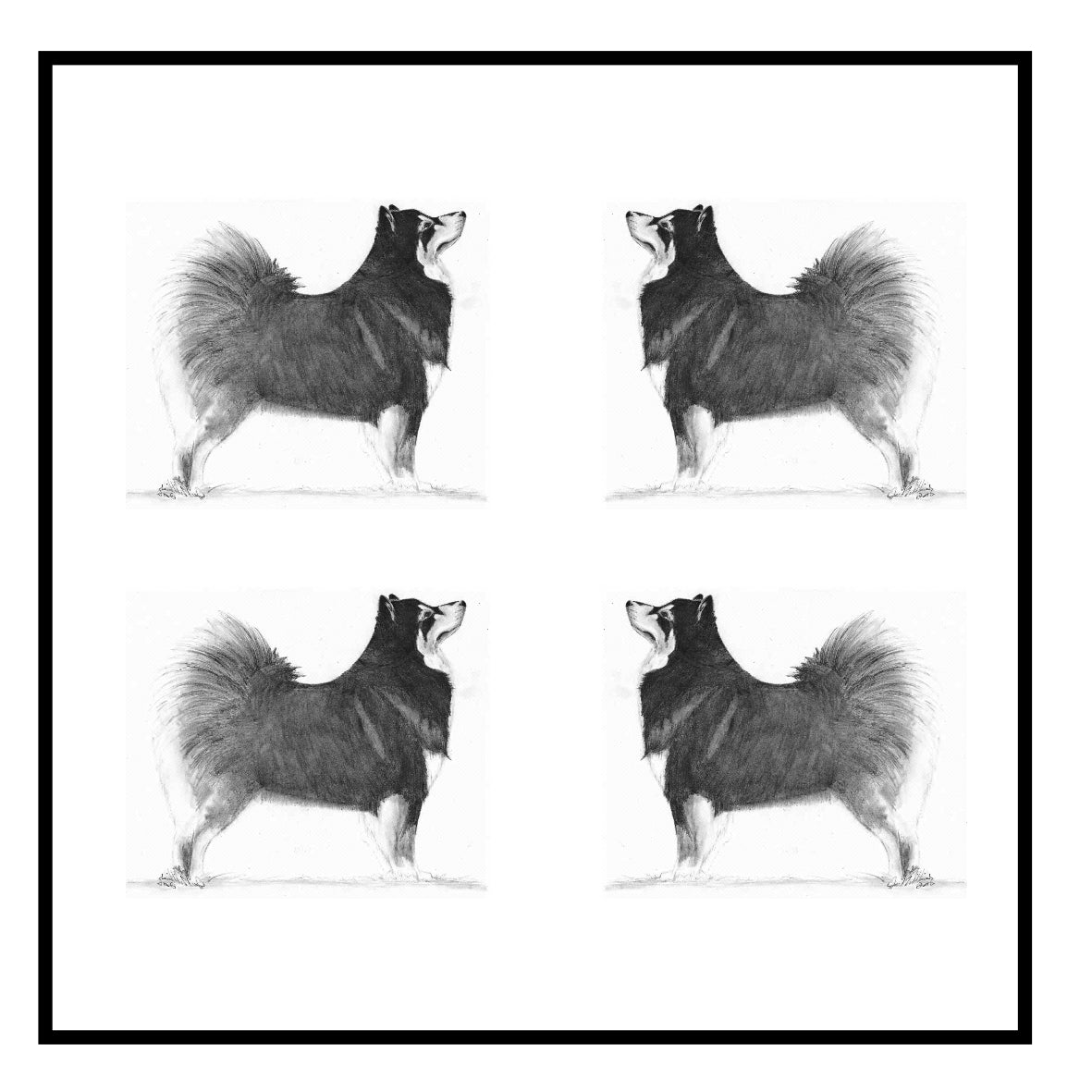 Finnish Lapphund Greeting Card Choice of 6 Designs BIRTHDAY, THINKING OF YOU, BLANK