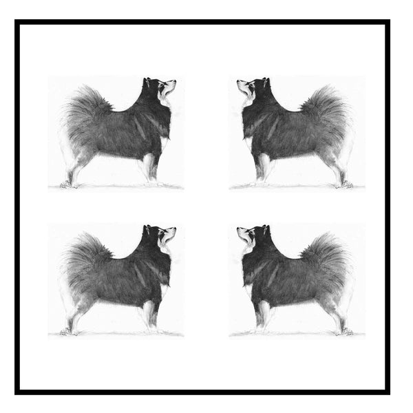 Finnish Lapphund Greeting Card Choice of 6 Designs BIRTHDAY, THINKING OF YOU, BLANK