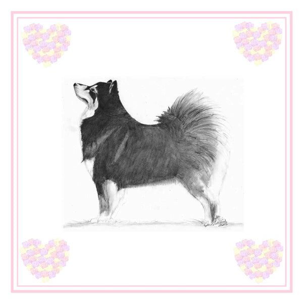 Finnish Lapphund Greeting Card Choice of 6 Designs BIRTHDAY, THINKING OF YOU, BLANK