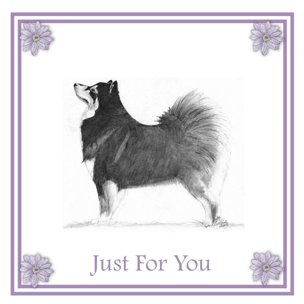 Finnish Lapphund Greeting Card Choice of 6 Designs BIRTHDAY, THINKING OF YOU, BLANK