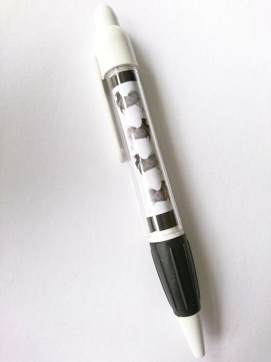 Pen