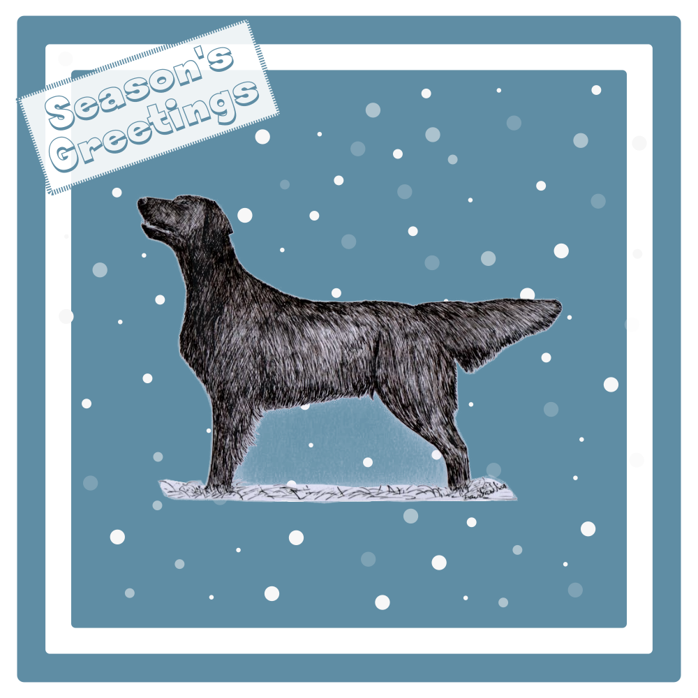 Flatcoat Retriever Christmas Card Choice of 3 Card Designs Single or Multi Pack