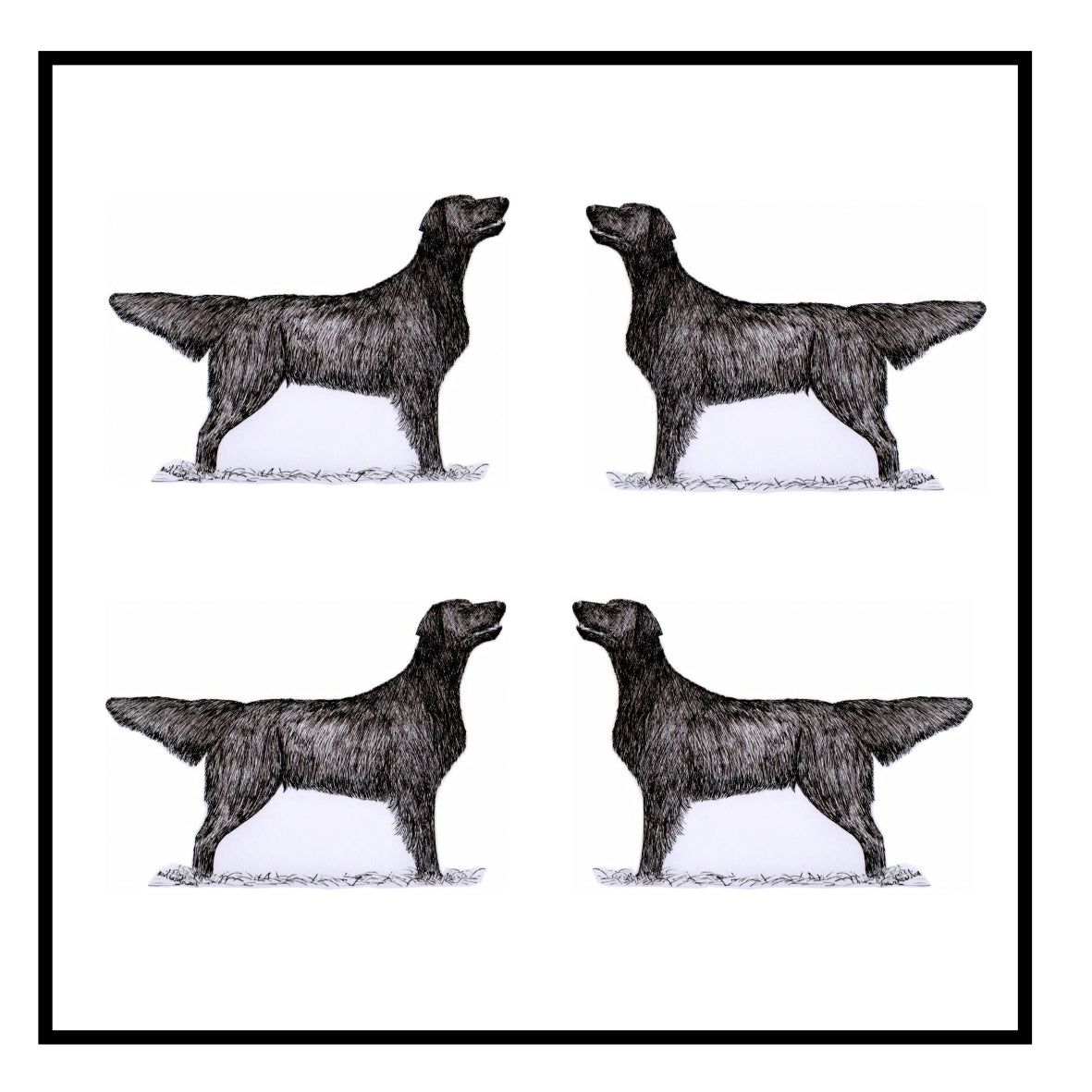 Flatcoat Greeting Card Choice of 6 Designs BIRTHDAY, THINKING OF YOU, BLANK