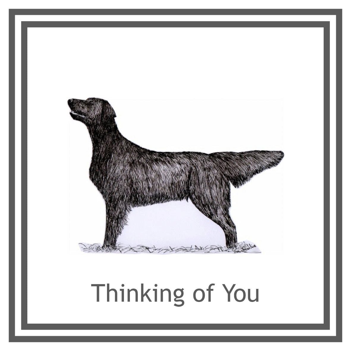 Flatcoat Greeting Card Choice of 6 Designs BIRTHDAY, THINKING OF YOU, BLANK