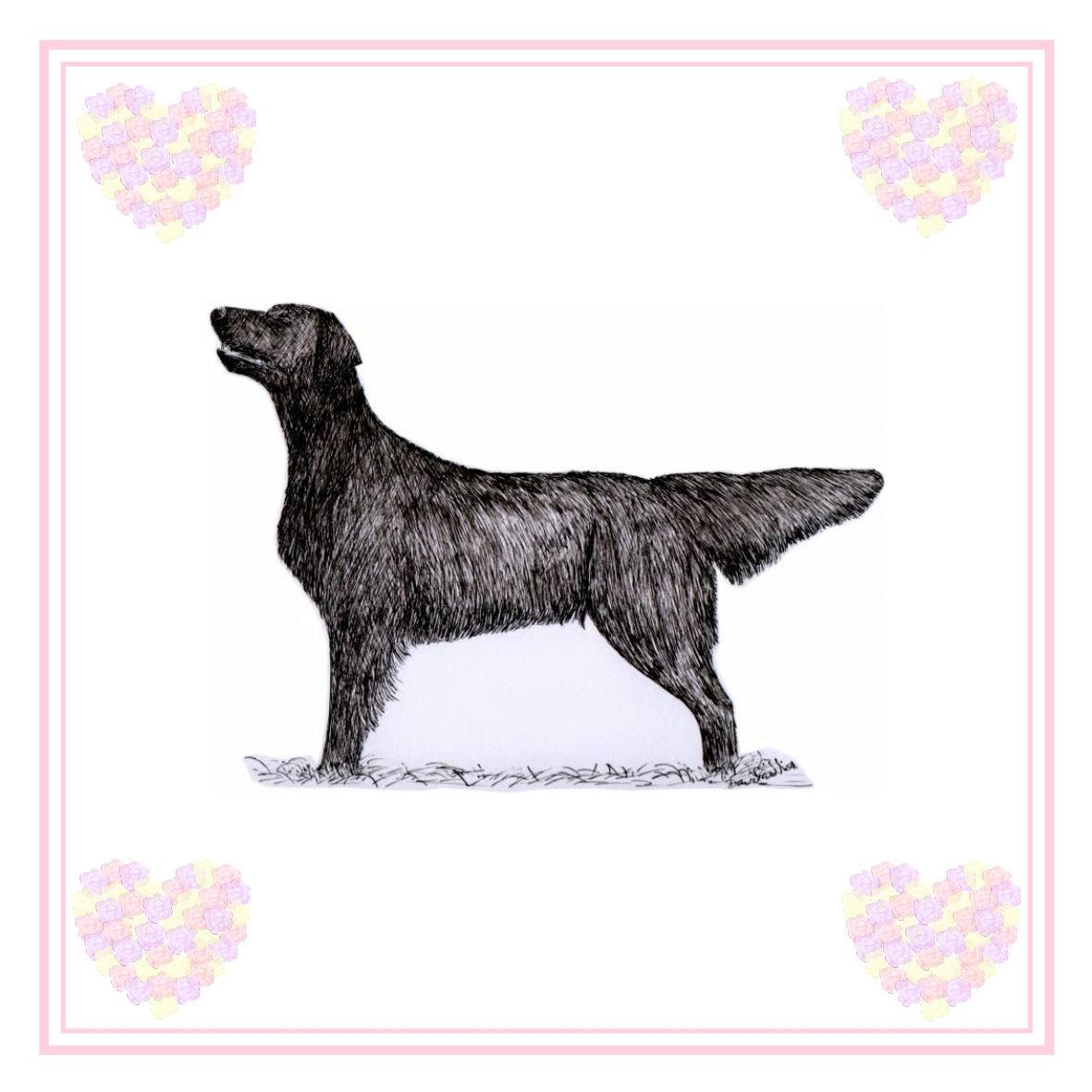 Flatcoat Greeting Card Choice of 6 Designs BIRTHDAY, THINKING OF YOU, BLANK