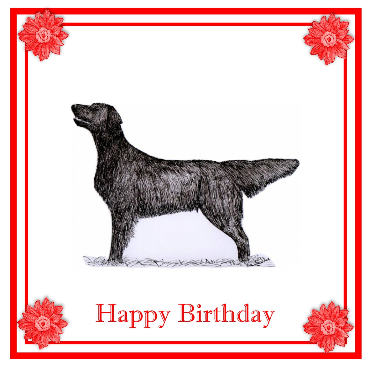 Flatcoat Greeting Card Choice of 6 Designs BIRTHDAY, THINKING OF YOU, BLANK