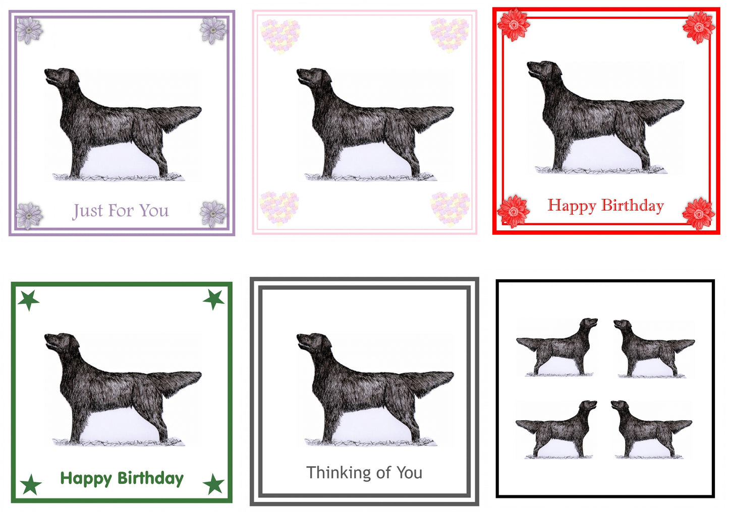 Flatcoat Greeting Card Choice of 6 Designs BIRTHDAY, THINKING OF YOU, BLANK